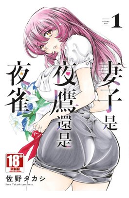 妻子是夜鷹還是夜雀(01)封面