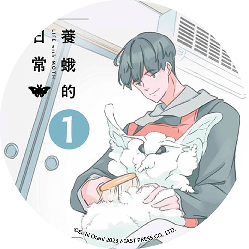 養蛾的日常 養蛾的日常