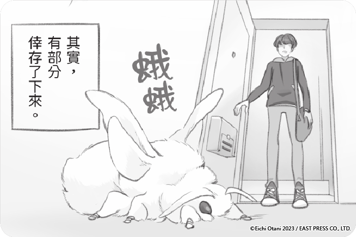 養蛾的日常 養蛾的日常