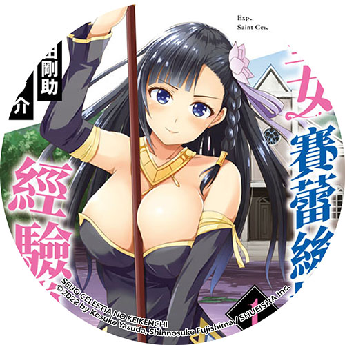 聖女賽蕾絲提亞的經驗值 聖女賽蕾絲提亞的經驗值