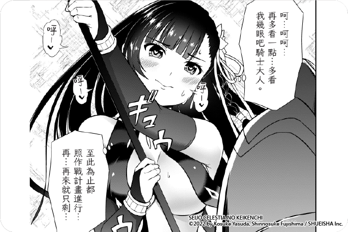 聖女賽蕾絲提亞的經驗值 聖女賽蕾絲提亞的經驗值