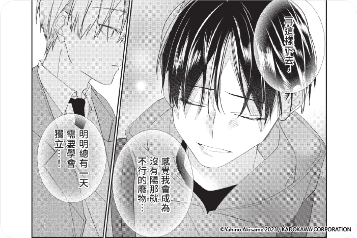 只不過是兄弟，又不僅是兄弟