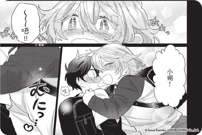 伴侶遊戲。
